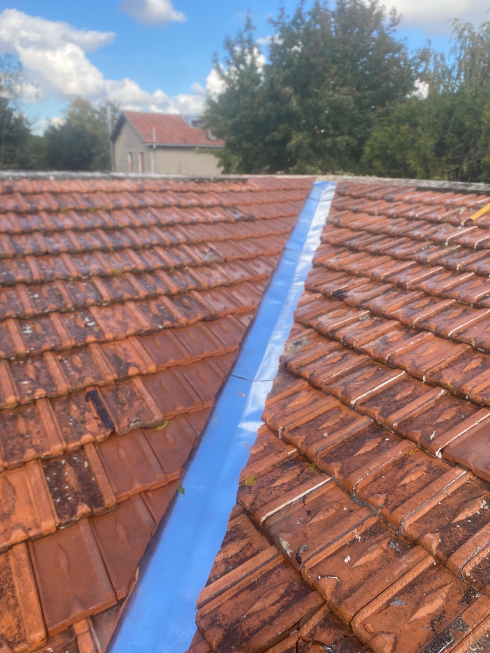 c79788a0-c5e3-495b-a131-6d2e0786b261