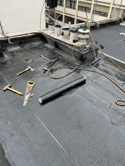 44ab157b-5281-41d0-a539-9e6f30829a08