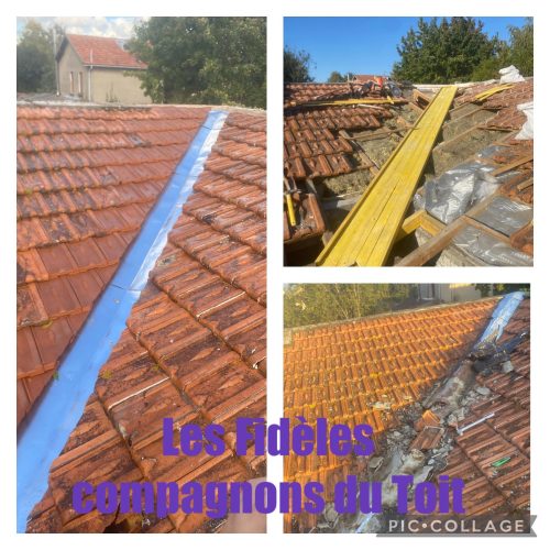 97ccf6a5-585d-4454-8ce6-78cc4c5dc0d6